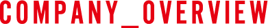 COMPANY OVERVIEW